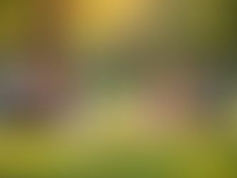 Simplifying Care Coordination for Special Needs Families