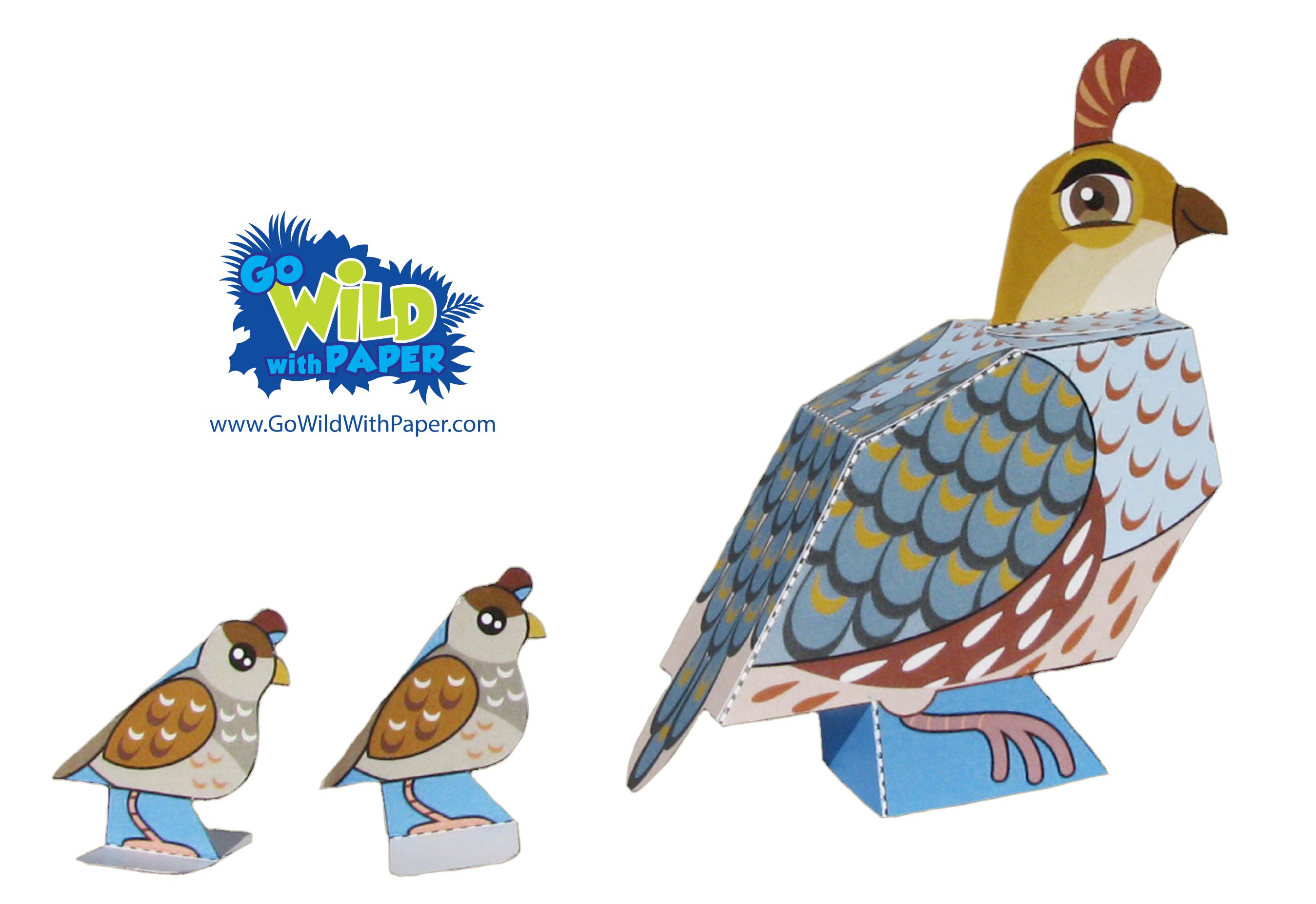 Quail Paper Model