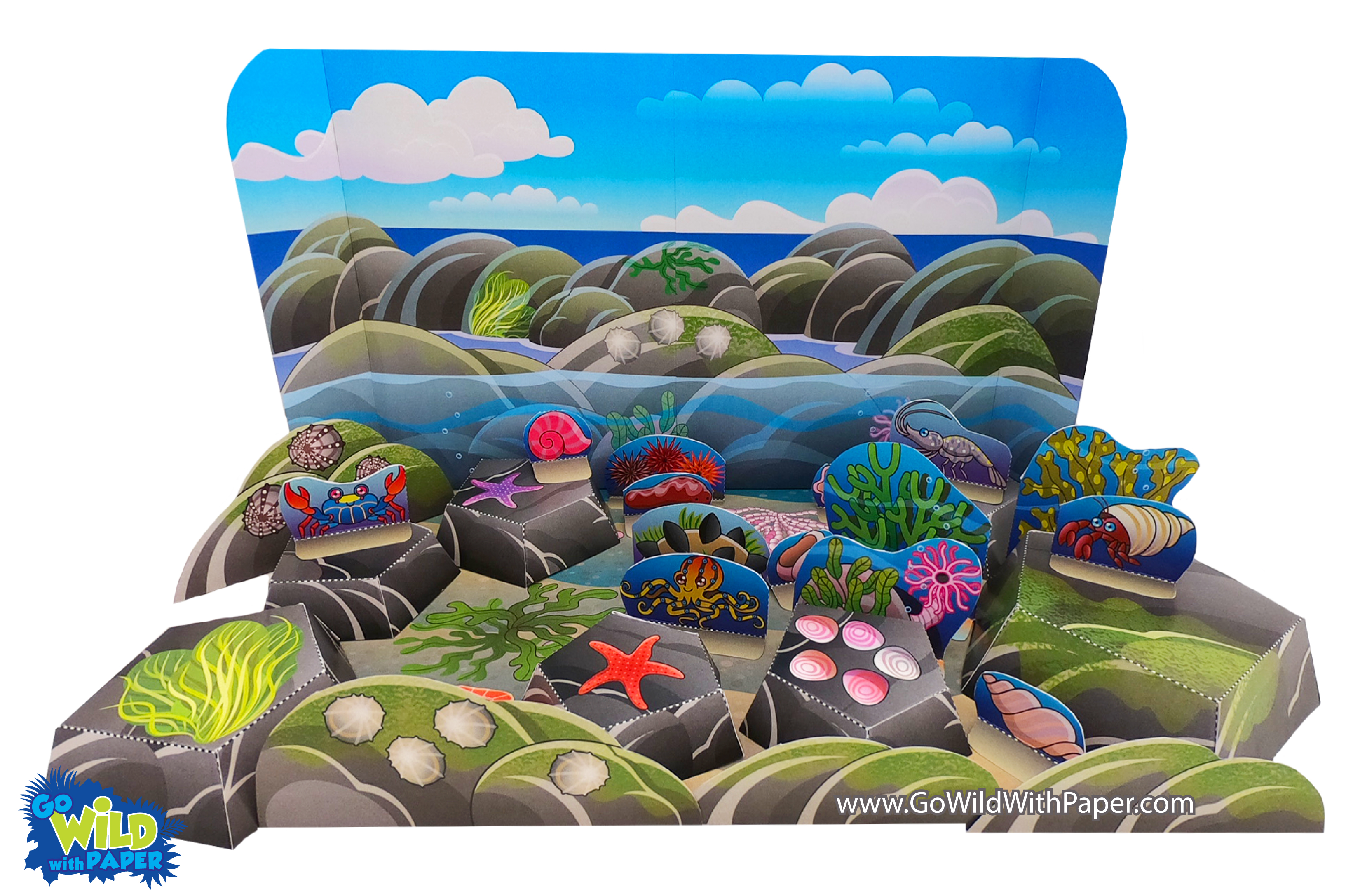 Rock Pool / Tide Pool Diorama