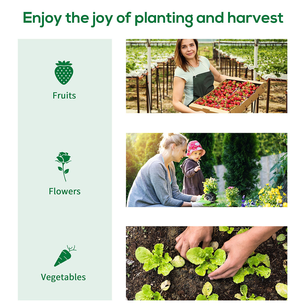 Thumbnail: Outsunny 180 x 180cm Walk-In Polytunnel Greenhouse - Green
