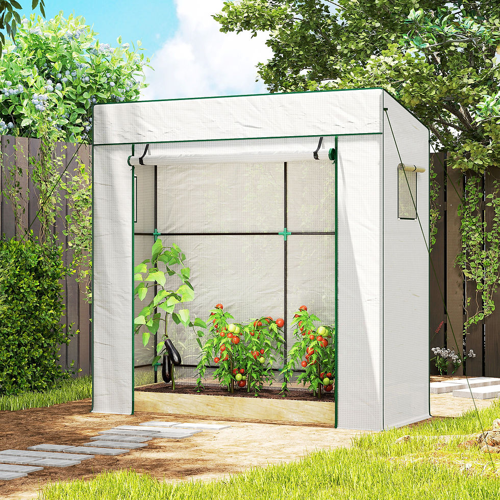 Thumbnail: PE Cover Walk-in Outdoor Greenhouse, White