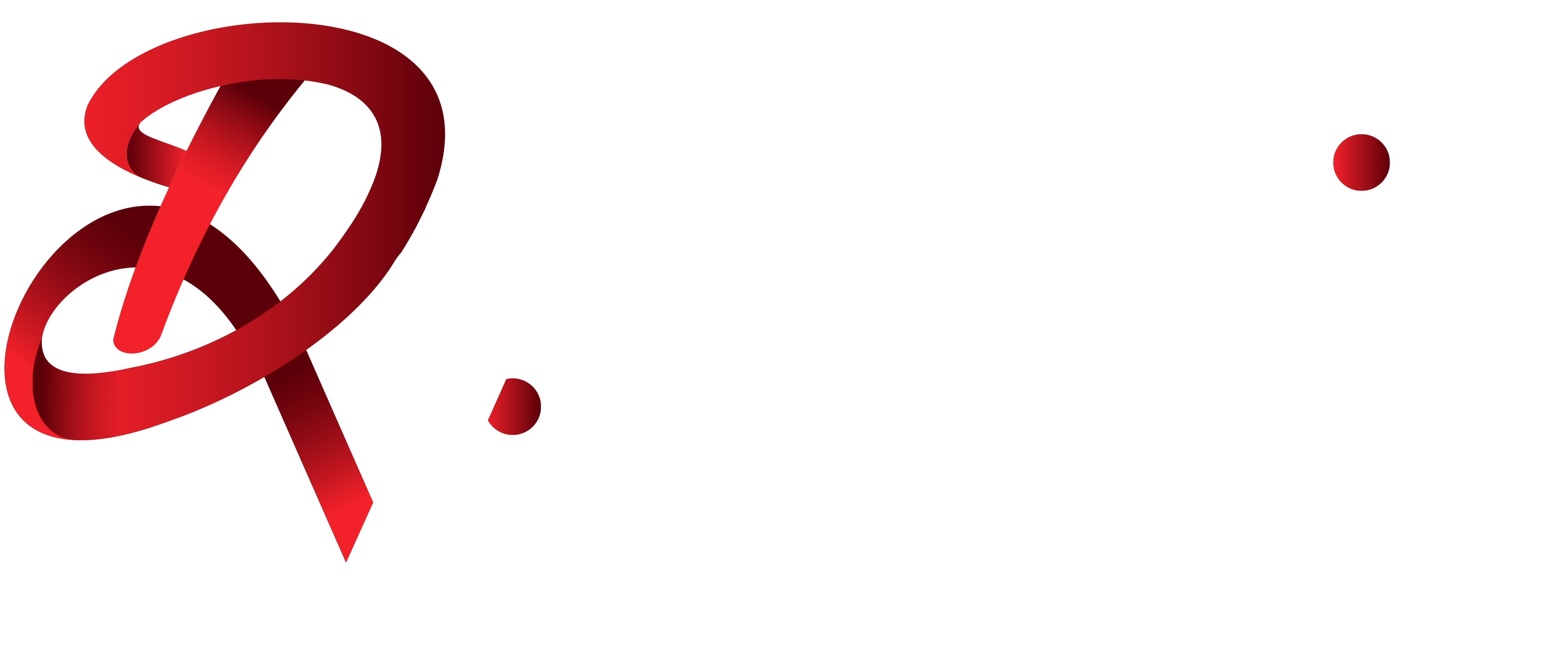 Dynamic Visuals LOGO white.png