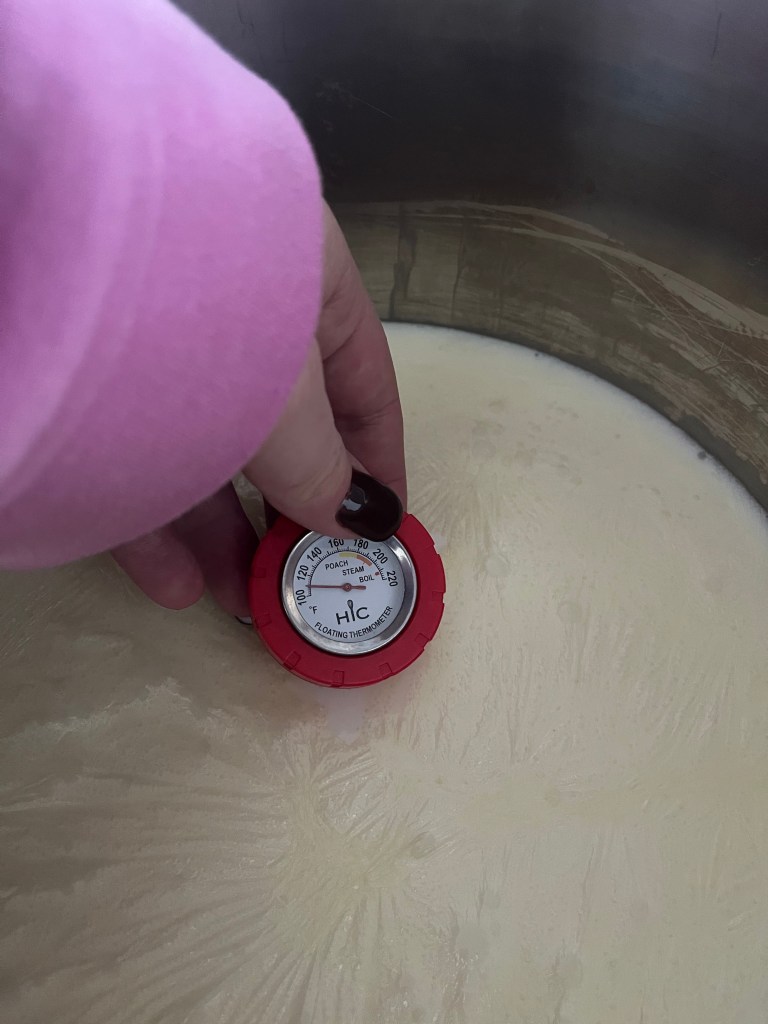 Hand holding a red floating thermometer above creamy liquid in a pot. Pink sleeve visible. Thermometer reads between poach and steam.