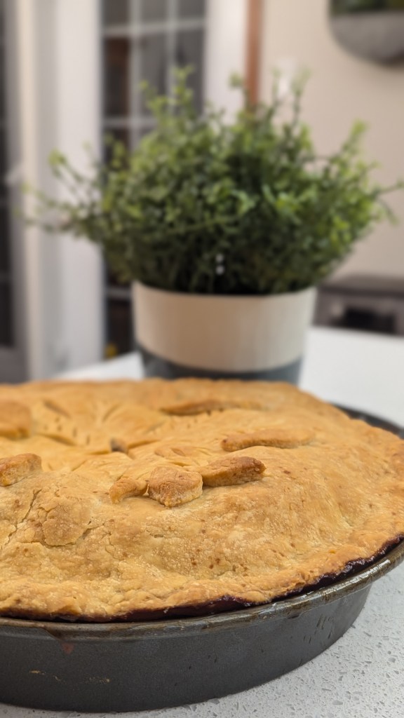 A golden-brown pie in a metal dish sits on a white countertop. A lush green plant in a pot is blurred in the background, creating a cozy kitchen scene.
