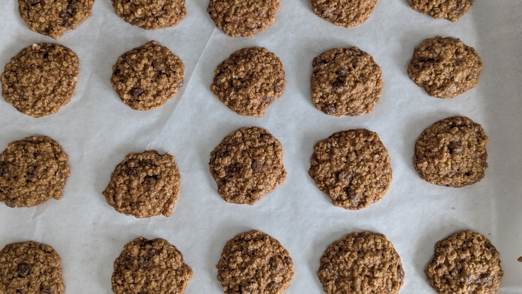 Freshly baked oatmeal cookies evenly spaced on white parchment paper, showcasing a golden-brown color and textured surface.