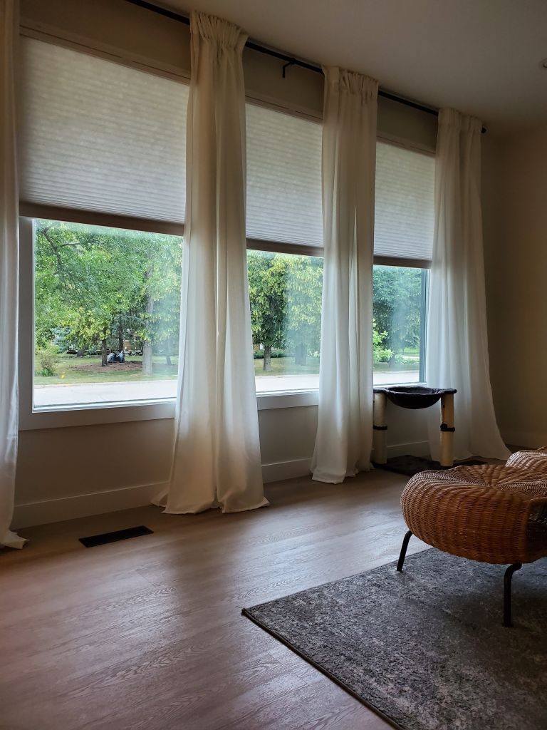 Bright room with large windows and sheer white curtains. A wicker chair and cat tree are on wooden floor with a gray rug. Greenery outside.