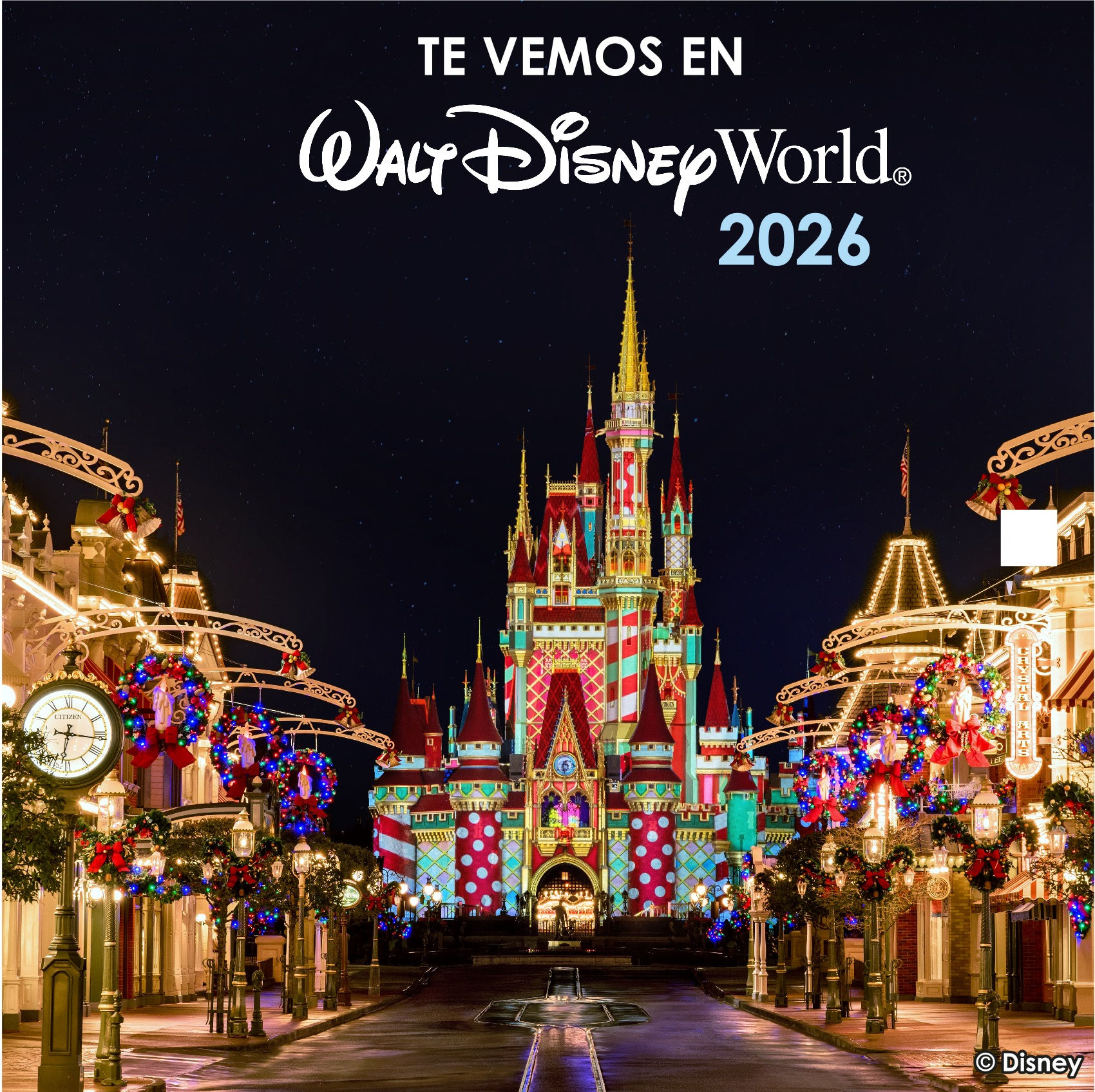 PRIMER PAGO WALT DISNEY WORLD
