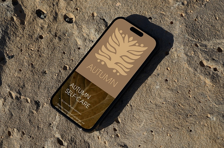 Framework_Free iPhone Pro on Rock Mockup Large.jpeg