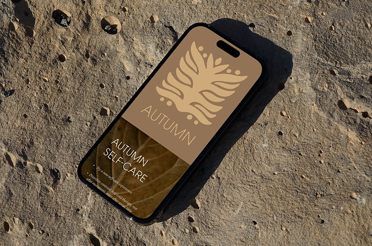 Framework_Free iPhone Pro on Rock Mockup Large.jpeg