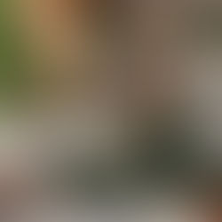 Truques para decorar a sala