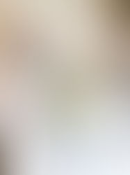 Penguins & Polar Bears