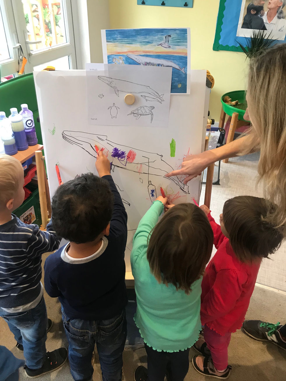 Whales, Turtles and Plastic