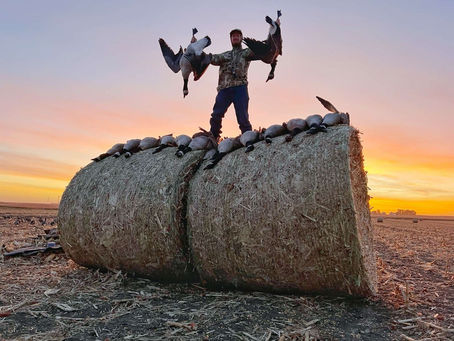 Wild Icelandic Goose Hunt