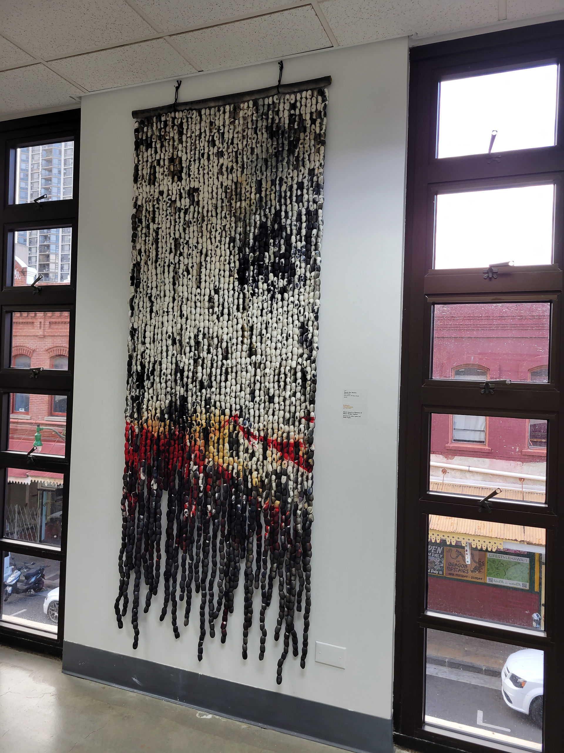 fiber hawaii 2024 Silk Hanging by Wendy Kim Messier