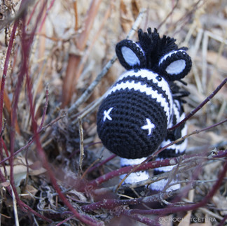 Black and white crocheted amigurumi zebra posed in twiggy bushes.