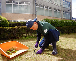 手による除草.jpg