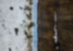 The thin line