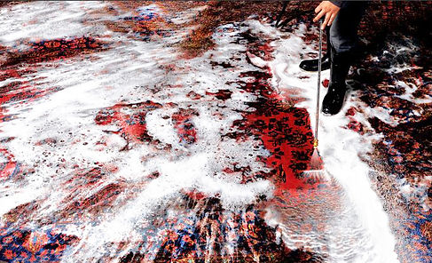 Chicago Rug Wash Photo