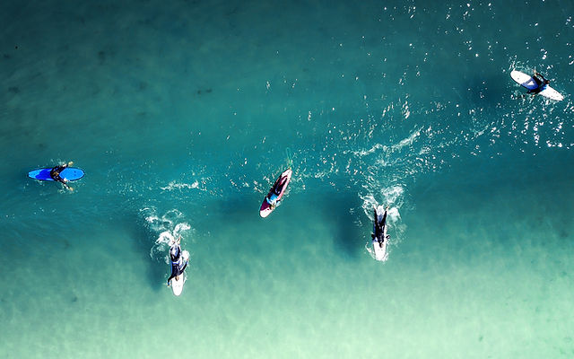 Honu surf cheap