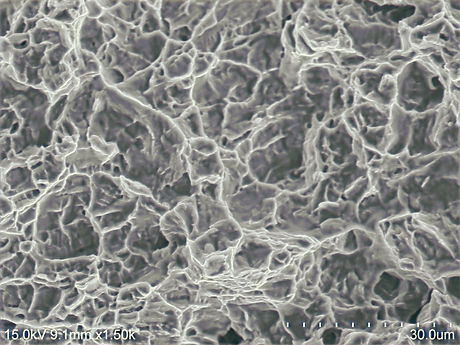 AB-6_m011_edited_edited.jpg