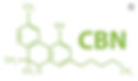CBN and Drug Interactions