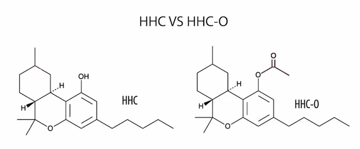 The Difference Between HHC and HHCO