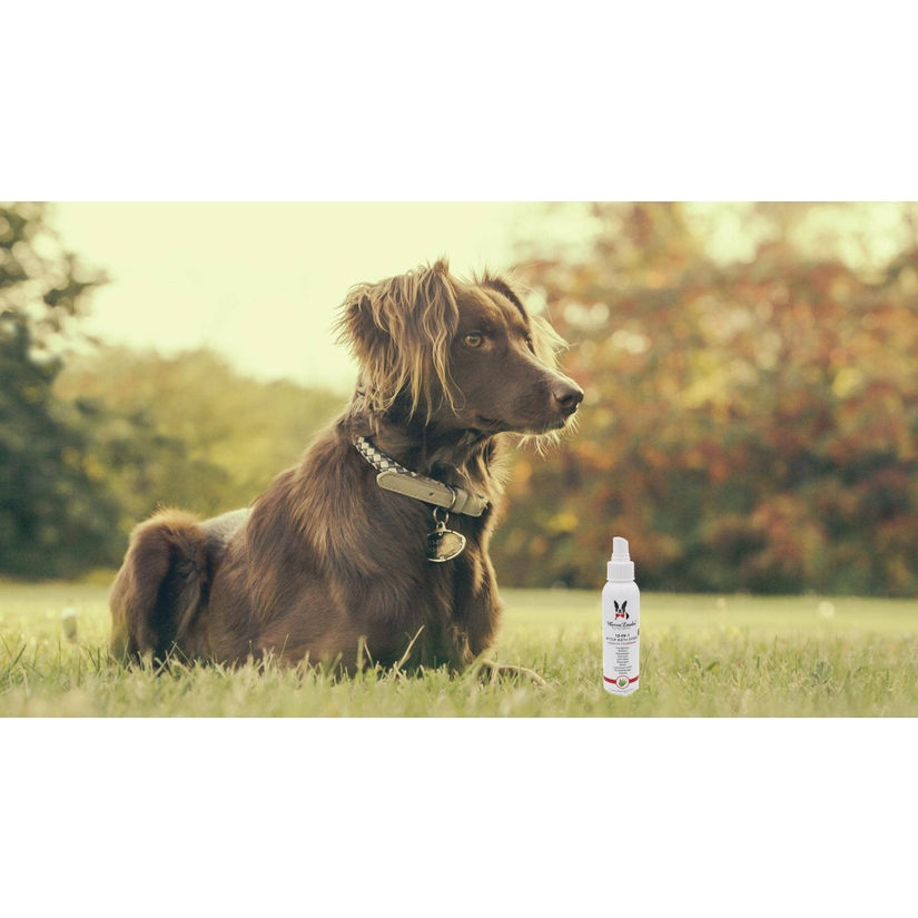 Thumbnail: 10-in-1 After Bath Spray