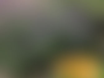 ビーイング定例会