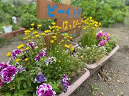 相談会を開催しました