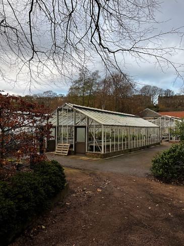 Greenhouse in the gardens of Holyroodhouse