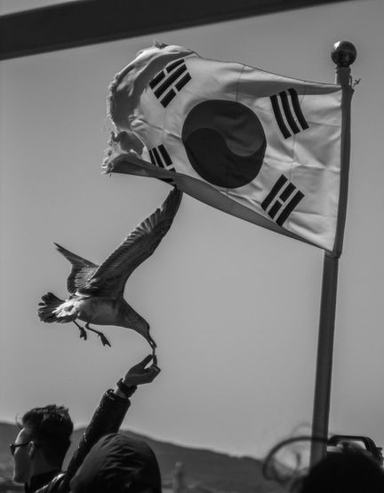 P1116534