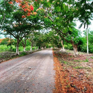 ¡Descubriendo el clima de Dzan!