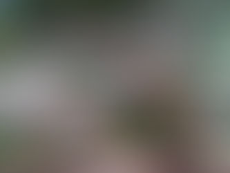 Actualidad y expectativas a futuro sobre la citricultura en Dzán, Yucatán (3/3)