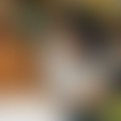 Xook-Tec: aprendiendo herramientas tecnológicas