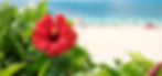 shutterstock_1397813522_edited.jpg