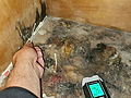 mold_detection_hand_measurement.jpg