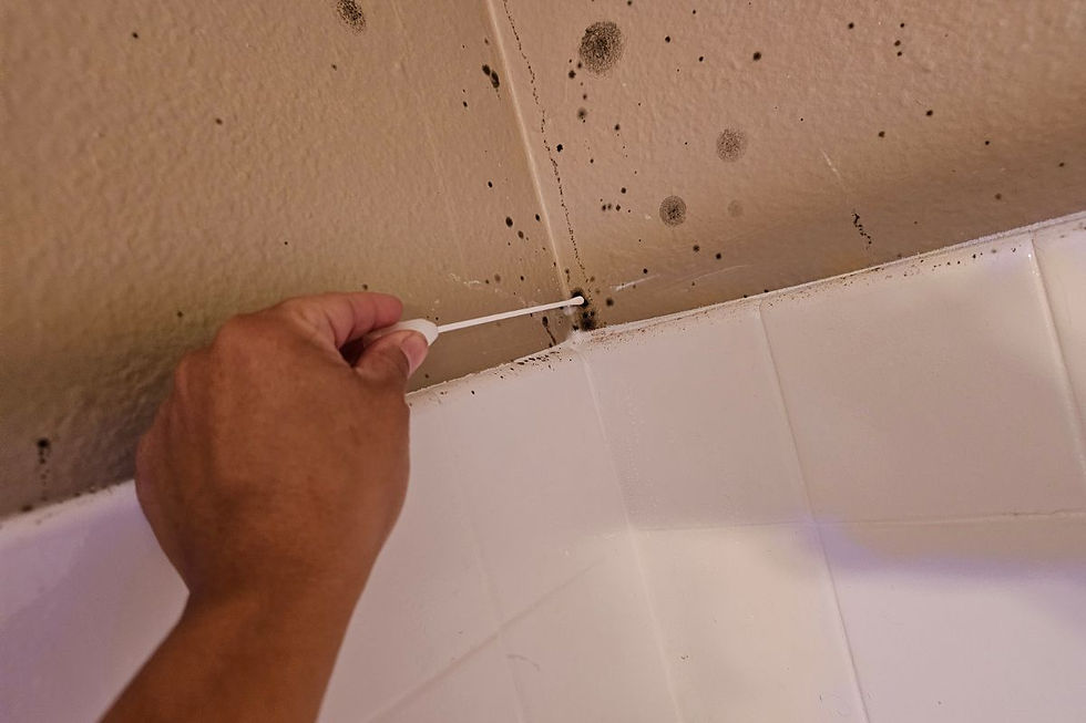 mold testing services 021.jpg