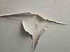 peeling_wallpaper_damage.jpg