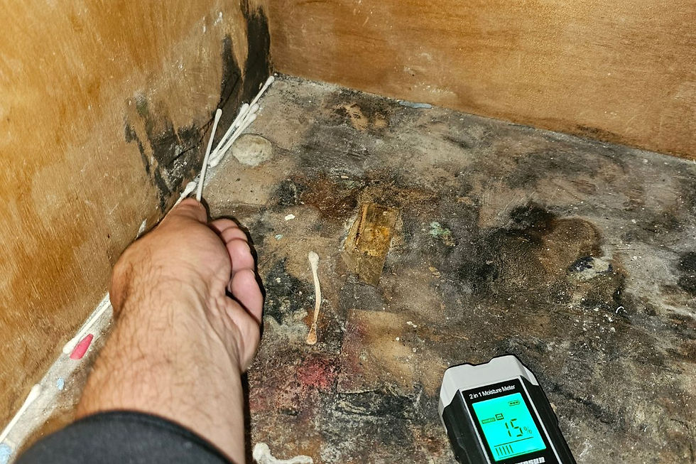 mold testing services 025.jpg
