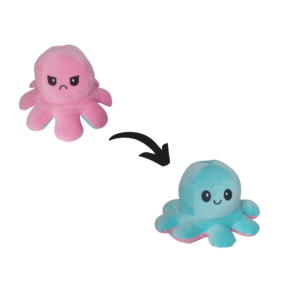 Thumbnail: Pulpos reversibles