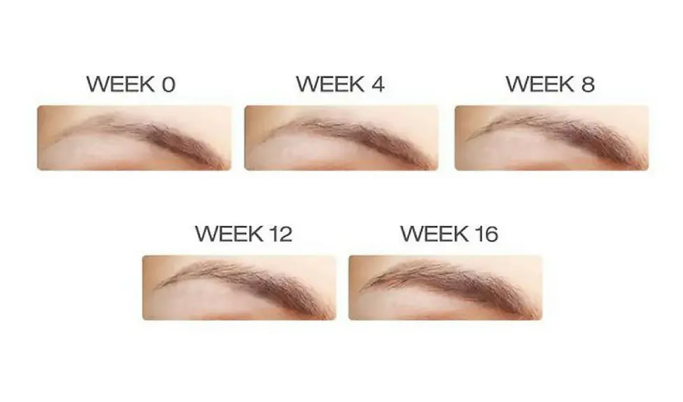Miniaturbild: Browfood - Phyto-Medic Eyebrow Enhancing Serum