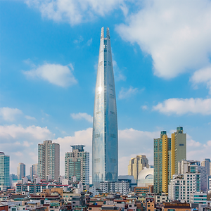 망막혈관폐쇄증상(정상).png