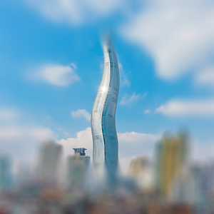 망막혈관폐쇄증상(변시증).png