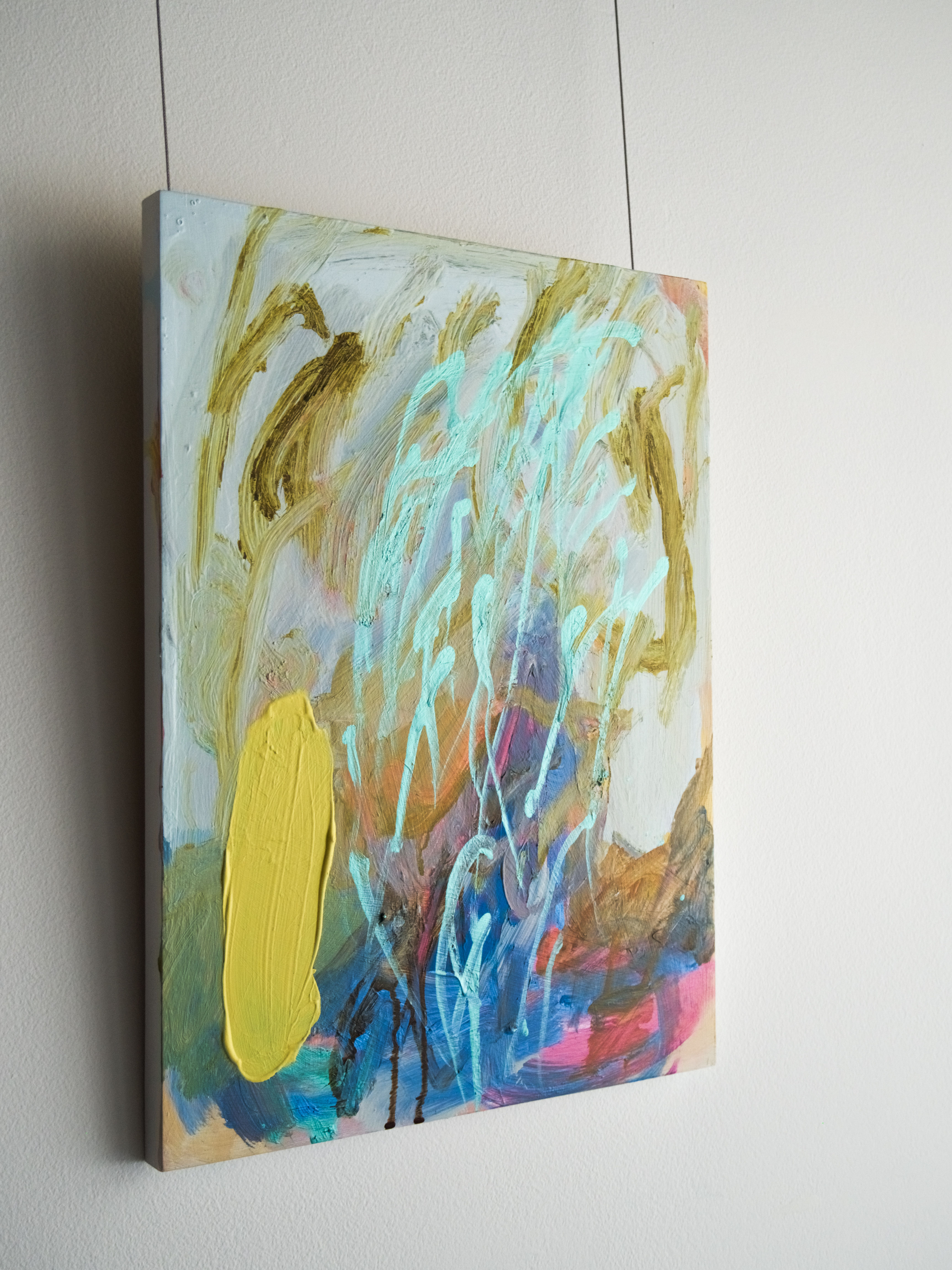 All the dolphins in the world