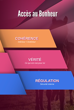 Acces bonheur.png