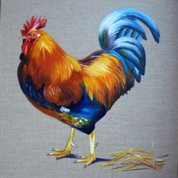 le roi de la basse-cour