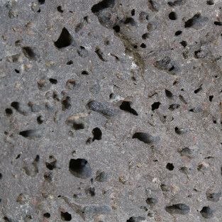 Specimen #7