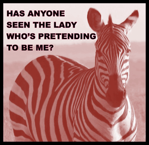 zebravicki