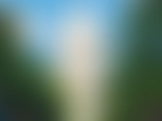 IRS Guidance -- Rules for Depreciating 'Infrastructure' Items