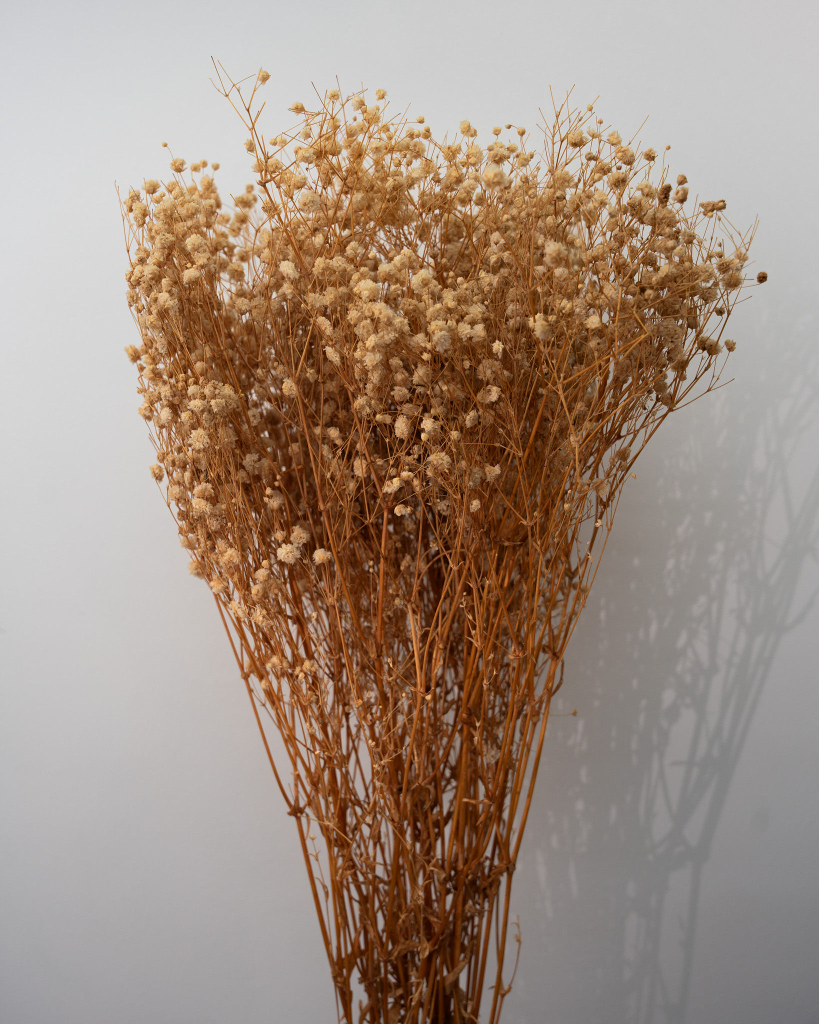 גיבסנית מיובשת צבע טבעי